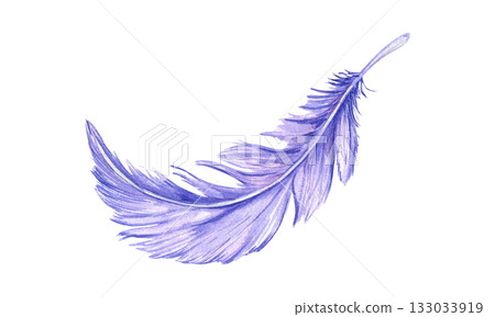 Watercolor purple bird feathers illustration in realistic style. Hand painted colored fluffy bird plume on isolated background. Natural element for carnival mask decor, dreamcatcher, ethnic design. Watercolor purple bird feathers illustration in realistic style. Hand painted colored fluffy bird plume on isolated background. Natural element for carnival mask decor, dreamcatcher, ethnic design. 133033919
