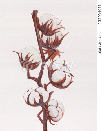 Cotton flower hand-painted 133034051