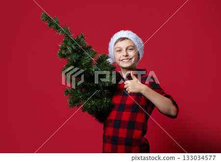 Cheerful boy in Santa hat and red plaid shirt holding ,thumbs up, sign approval like, small artificial Christmas tree pointing red background Cheerful boy in Santa hat and red plaid shirt holding ,thumbs up, sign approval like, small artificial Christmas tree pointing red background 133034577