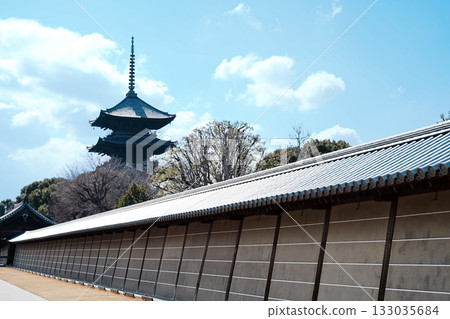 The five-story pagoda of Toji Temple stands out against the blue sky 133035684