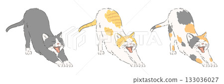 一組貓咪伸展身體的插畫（八件組、棕白相間、三色貓） 133036027