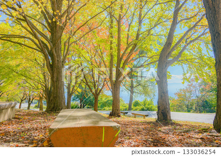 Autumn scenery [Matsumoto City Alps Park] 133036254