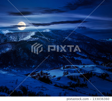 mountain rural area near peaks in snow on frosty winter at night. countryside landscape with rolling hill cover with snow in full moon light. background for investment or abstract concepts 133036360