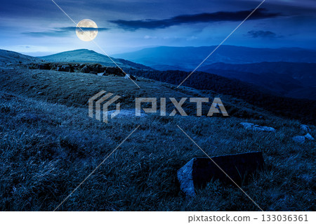 alpine meadows in mountains in summer at night. stones on grassy hills in full moon light. popular travel destination for photo. background for investment or abstract concepts. beautiful place alpine meadows in mountains in summer at night. stones on grassy hills in full moon light. popular travel destination for photo. background for investment or abstract concepts. beautiful place 133036361