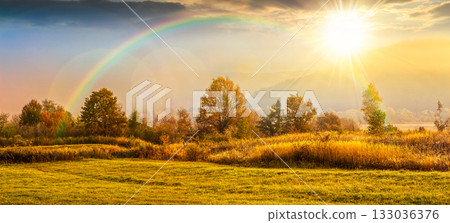 autumn landscape at sunset. yellow trees in fog on the meadow in evening light. beautiful rural scenery. storytelling image under the rainbow. wide panoramic view autumn landscape at sunset. yellow trees in fog on the meadow in evening light. beautiful rural scenery. storytelling image under the rainbow. wide panoramic view 133036376