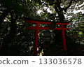 Torii illuminated by sunbeams 133036578