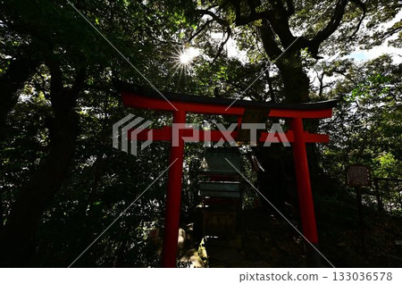 Torii illuminated by sunbeams Torii illuminated by sunbeams 133036578