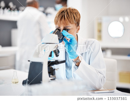Healthcare, microscope and science with black woman in laboratory for experiment, medical and pharmacy. Research, medicine and results with expert looking for pathology, test and sample analysis 133037381
