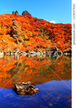 Ofunayama Oike Pond in autumn (Kuju Mountains, Taketa City, Oita Prefecture, vertical composition) 133037691