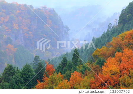 Autumn Yayakii 133037702