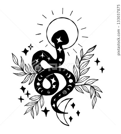 Mystical Snake with Sun, Moon and Plants Leaves. Textured Hand Drawn Doodle. Sketch for astrology, esoteric and Halloween design, symbolizing magic and transformation. Vector Illustration. Not AI 133037875