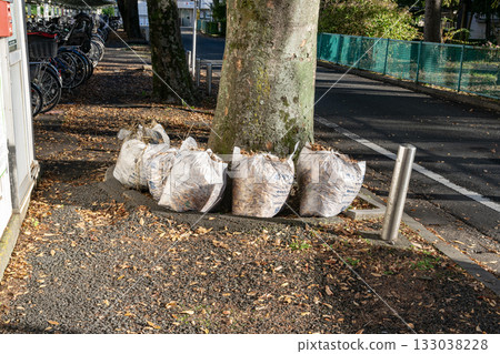 Fallen garbage and dead leaves at the garbage dump Fallen garbage and dead leaves at the garbage dump 133038228