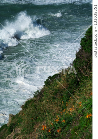 伊良岬：萱草盛開，洶湧的波濤拍打著日之出庭防禦工事的殘骸。 133038351
