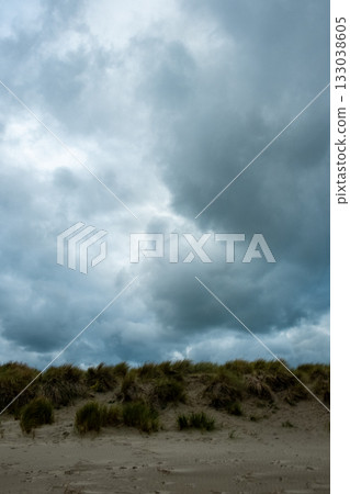 Somber atmosphere with rugged sand and gusty grasses flowing Somber atmosphere with rugged sand and gusty grasses flowing 133038605
