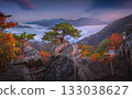 Autumn in Korea, Pine trees towering on the rocks atop Jebibong. In the morning, a sea of mist flows through the river in the valley In the autumn of Waraksan Mountain National Park, South Korea. 133038627