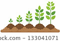 Minimalist illustration depicting stages of plant growth in soil, emphasizing roots, stem 133041071