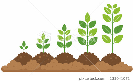 Minimalist illustration depicting stages of plant growth in soil, emphasizing roots, stem Minimalist illustration depicting stages of plant growth in soil, emphasizing roots, stem 133041071