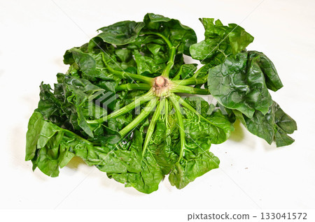 收縮菠菜 133041572
