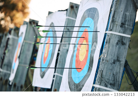 Arrows in archery circle or target for competition, game or learning in field outdoor for sports background. Sport event, icon or eye goal with arrow on board for gaming, adventure and shooting Arrows in archery circle or target for competition, game or learning in field outdoor for sports background. Sport event, icon or eye goal with arrow on board for gaming, adventure and shooting 133042213