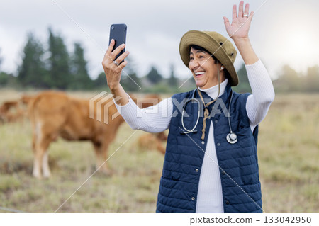 Cow selfie, video call and vet in countryside with cows on a field for animal healthcare. Happiness, mobile and social media streaming of a mature farmer on the grass with cattle for milk production Cow selfie, video call and vet in countryside with cows on a field for animal healthcare. Happiness, mobile and social media streaming of a mature farmer on the grass with cattle for milk production 133042950