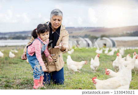 Family, farming and chicken, grandmother and child on farm in Mexico, feeding livestock with poultry and agriculture. Senior woman, girl and farmer on field in countryside, nutrition and sustainable 133043021