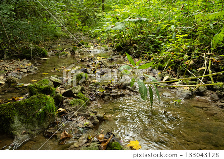 Tranquil Mountain Stream Flowing Over Rocks 133043128