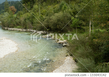 Beautiful Natural Background with Forest River in Summer Beautiful Natural Background with Forest River in Summer 133043142