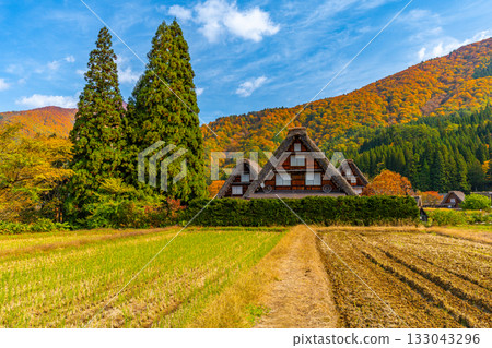 世界遺產白川鄉的秋葉 133043296