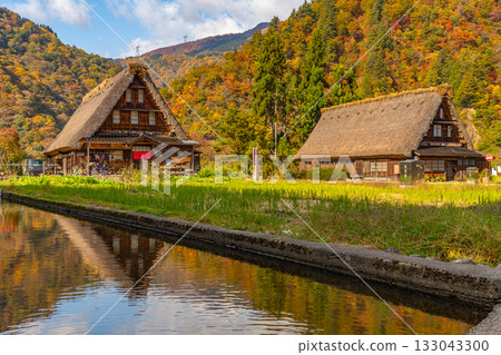 世界遺產 五簇山菅沼合掌造村 秋天 133043300