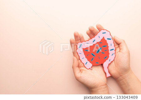 Probiotics health benefits. Intestine organ made from paper with  good bacteria lactobacillus.Creative ideas for probiotics and healthy digestive systems. 133043409