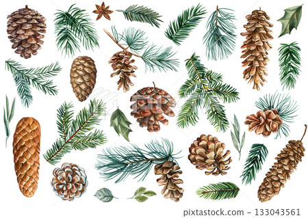 Watercolor pine cones, evergreen branches realistic forest botanical set natural woodland winter elements for seasonal decoration 133043561