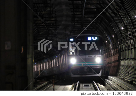 [N] Tokyo Metro Namboku Line 9000 series train 133043982