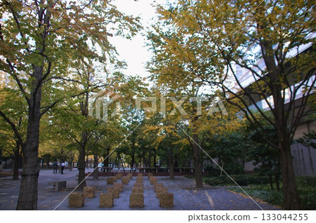 秋天的樹葉 秋天的樹葉 133044255