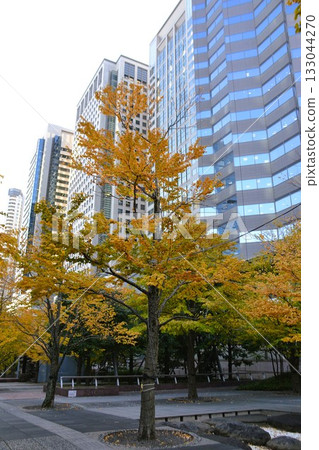 Autumn leaves 133044270