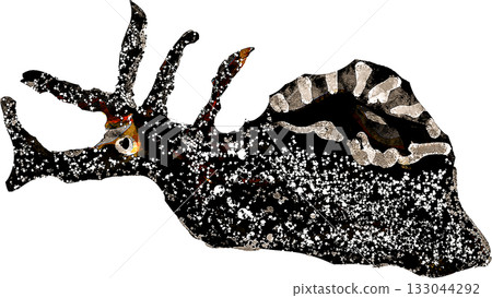 海兔插圖 133044292