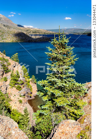 Vertical view of a green spruce tree on a rocky cliff above the deep blue Saint Mary Lake. The far shore shows a wildfire burn scar. Taken in Glacier National Park, Montana 133044471