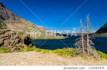 A scenic view of the deep blue Saint Mary Lake in Glacier National Park, Montana. Two dead tree snags stand on a rocky overlook in the foreground, with mountains rising under a clear blue sky A scenic view of the deep blue Saint Mary Lake in Glacier National Park, Montana. Two dead tree snags stand on a rocky overlook in the foreground, with mountains rising under a clear blue sky 133044476