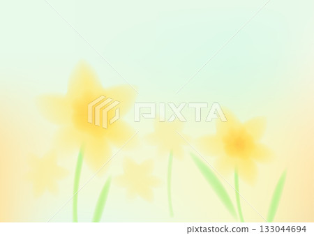 Soft yellow daffodil flower background for spring design 133044694
