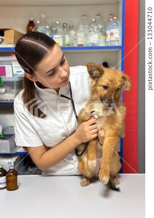Veterinarian with dog. Beautiful smiling veterinarian girl with dog. 133044710