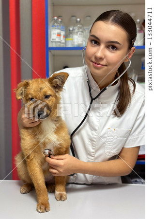 Veterinarian with dog. Beautiful smiling veterinarian girl with dog. 133044711