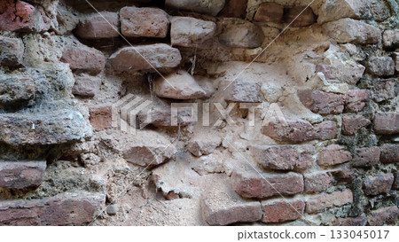Spider webs spreading across the ancient heritage wall of Rohtas Fort Spider webs spreading across the ancient heritage wall of Rohtas Fort 133045017