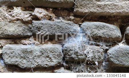 Old fort wall covered with natural spider cobwebs 133045148