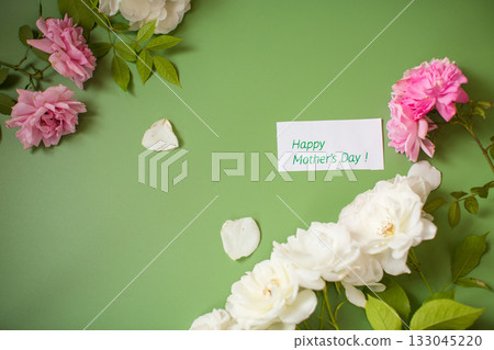Isolated White and pink rose with soft lighting Isolated White and pink rose with soft lighting 133045220