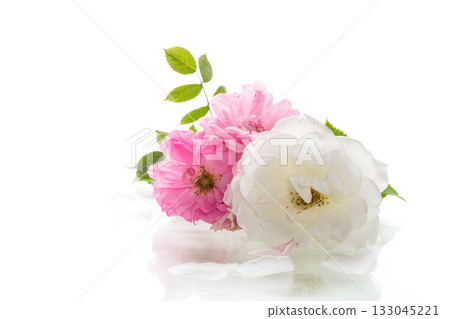 bouquet white and pink roses isolated on white background 133045221