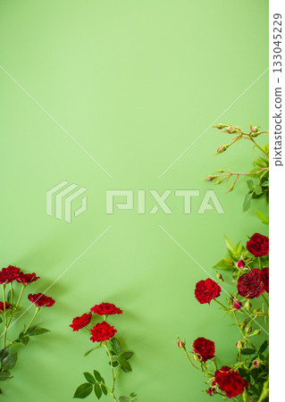 Miniature red roses isolated on green background Miniature red roses isolated on green background 133045229