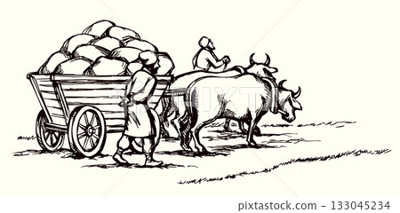 Vector drawing. Ancient cart with cows Vector drawing. Ancient cart with cows 133045234