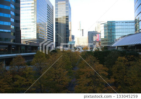 秋天的樹葉 133045259