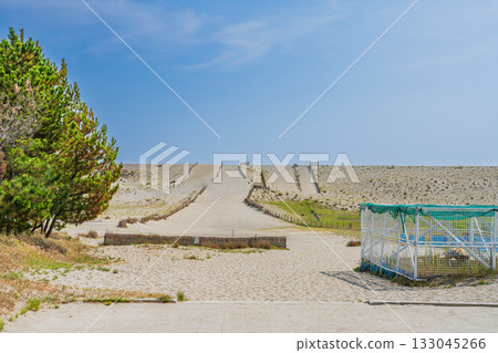 Scenery of Nakatajima Sand Dunes in Hamamatsu City (Shizuoka Prefecture) Scenery of Nakatajima Sand Dunes in Hamamatsu City (Shizuoka Prefecture) 133045266