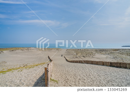 靜岡縣濱松市中田島沙丘的景色 靜岡縣濱松市中田島沙丘的景色 133045269
