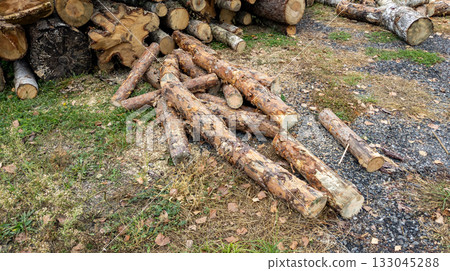 Pile of pine lumber. Logs of sawn pine closeup. Logging. Tree trunks lie on the ground. Pile of pine lumber. Logs of sawn pine closeup. Logging. Tree trunks lie on the ground. 133045288